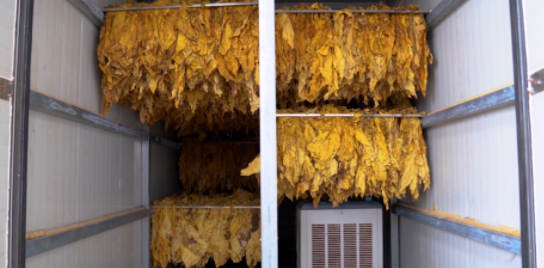 低價、欠款、違規(guī)，3年期限將至，13億河南烤煙電代煤將如何收場？